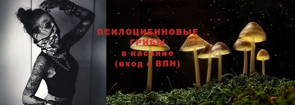 скорость Лиски