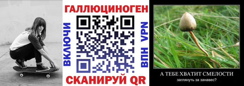 mega ССЫЛКА купить наркотики цена Чердынь Галлюциногенные грибы Cubensis